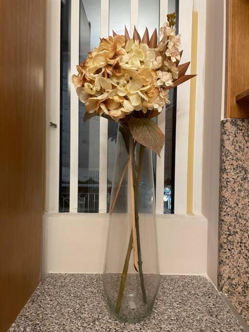 אתונה Dm Apartment 1 מראה חיצוני תמונה